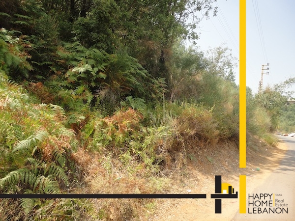 Land for sale in Ain El Sindyeneh