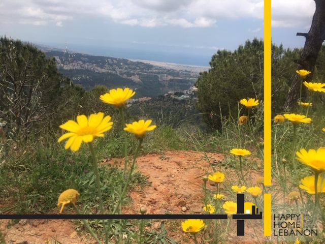 Land for sale in Beit Merry