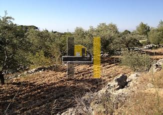 Land for sale in Batroun