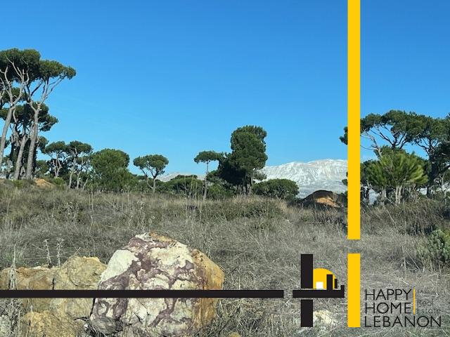 Land for sale in Bolonia